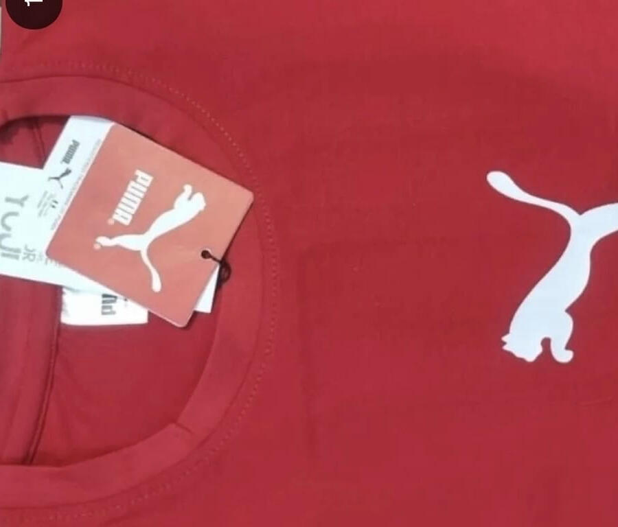 Puma